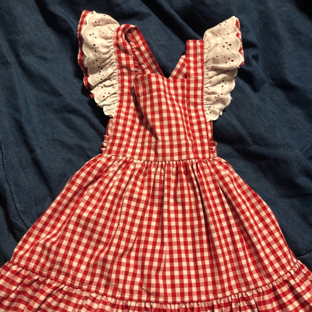 Eleanor Rose gingham dress 4/5